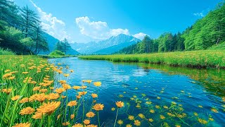 Beautiful Relaxing Music 🌿 Stop Overthinking, Stress Relief Music 🌿 Gentle Music #2