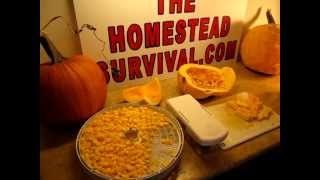 How To Make Pumpkin Flour DIY Recipe