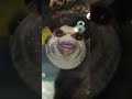 سمكة هاسيندا الناطقه لا تخرج قبل ان تقول سبحان الله