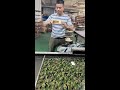 Car air pump shell water transfer printing process factory video private customization