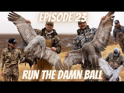 Bayou Dragons Podcast Episode 23 (RUN THE DAMN BALL)