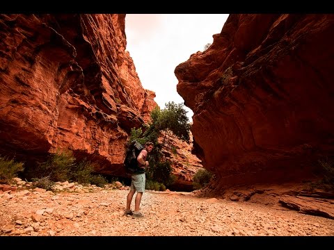 ALMOST DIED AT THE GRAND CANYON - YouTube