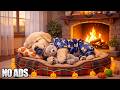 🔴 [24/7] Relaxing Music for Dogs 🐾❤️ Calming Dog Music for Separation Anxiety and Home Alone