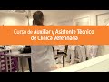 Curso Auxiliar y Asistente Técnico de Clínica Veterinaria | MasterD