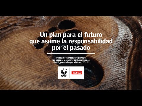 Video: VELUX Group Asegurará La Neutralización De Su Huella De Carbono A Lo Largo De La Historia De La Empresa Según El Plan 