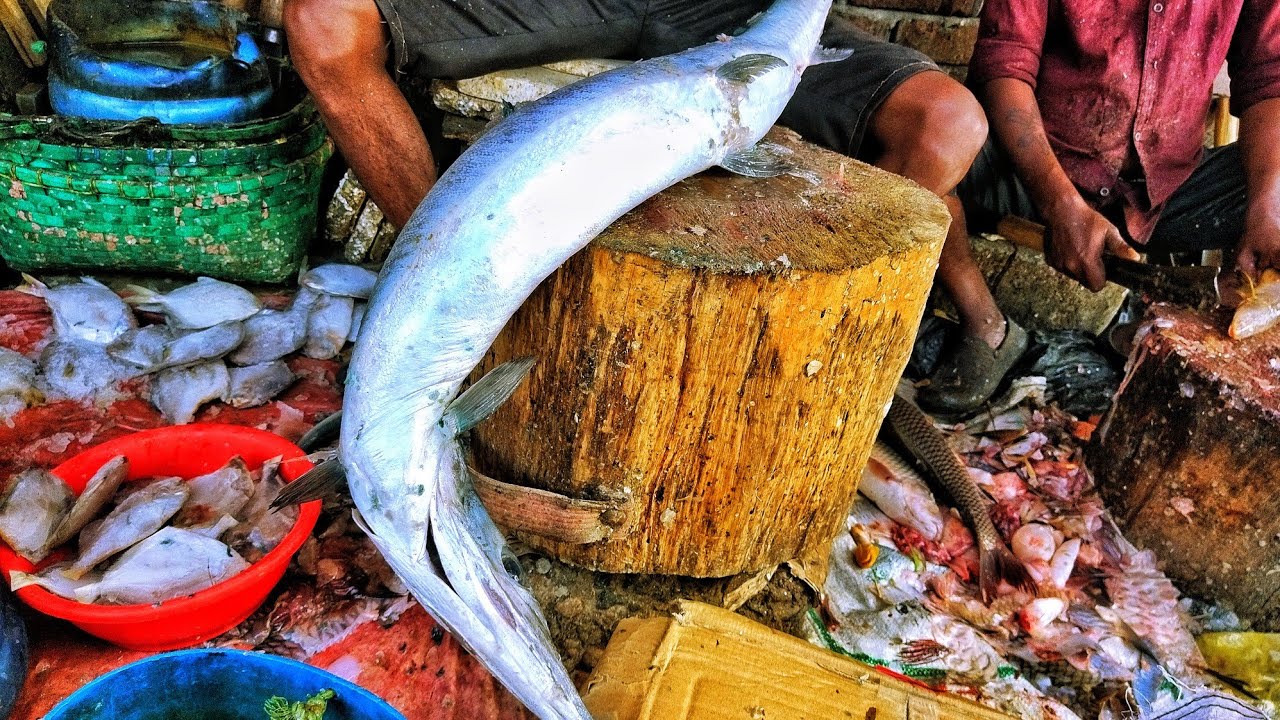 Incredible Big Garfish Cutting skills | Big Eel Fish Curter Man By Fish ...