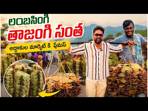 లంబసింగి పక్కన తాజంగి సంత | అడ్డాకుల మార్కెట్ ఎందుకు ఇంత ఫేమస్? | Tribal Market Tour