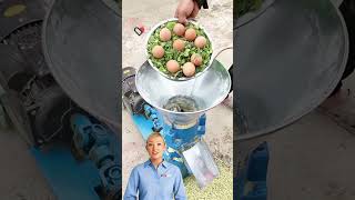 #ca Making Catfish Grow-Out Feed Pellets With Optimal Protein-to-Energy Ratio Using FCNFM Machine