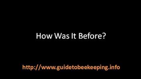 Langstroth Beehive -  What About This Beekeeping Hive