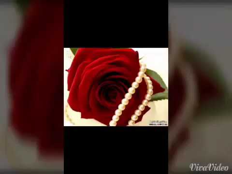 احبك مااقدر على بعادك قلبي ياحلو رادك 