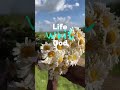 Life With God vs Life Without God