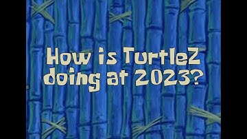 IMO TWOM: Server overview March 2023 | TurtleZ Server