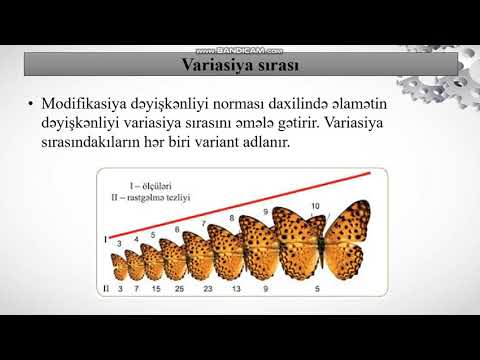 Video: Müstəqil modifikasiya nədir?