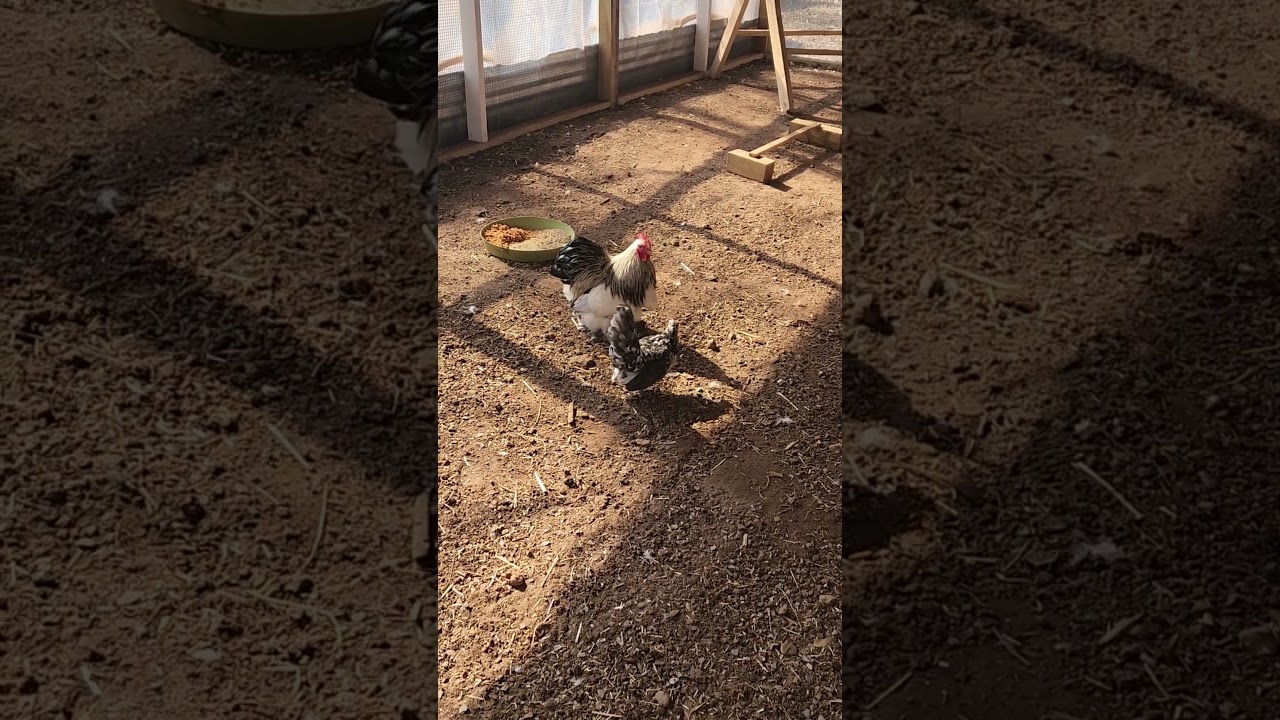 Мой самый любимый мальчик. ❤️