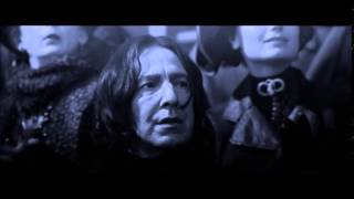 SNAPE AND HERMOINE LET IT GO