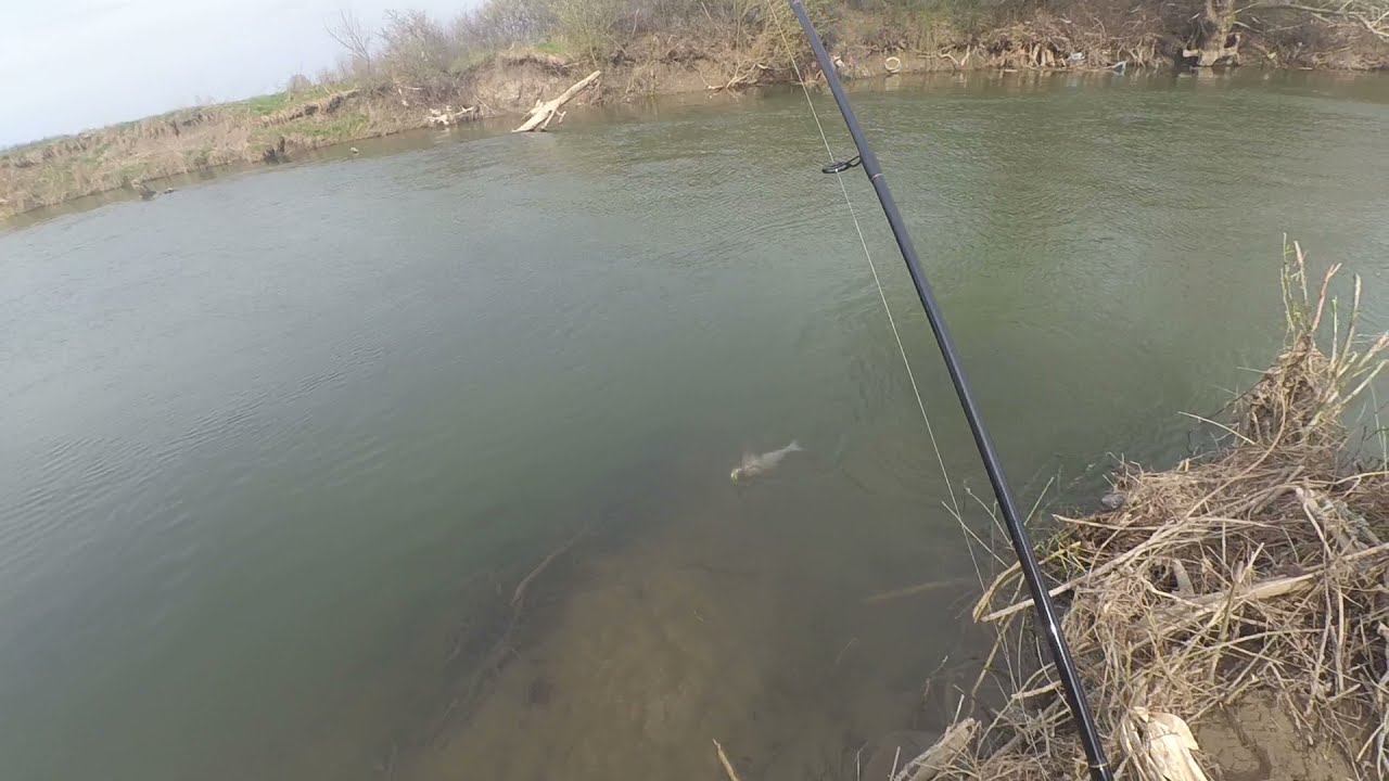 GabFishing E40 - Balinok handmade woblerre (Pergetés a Sajón)