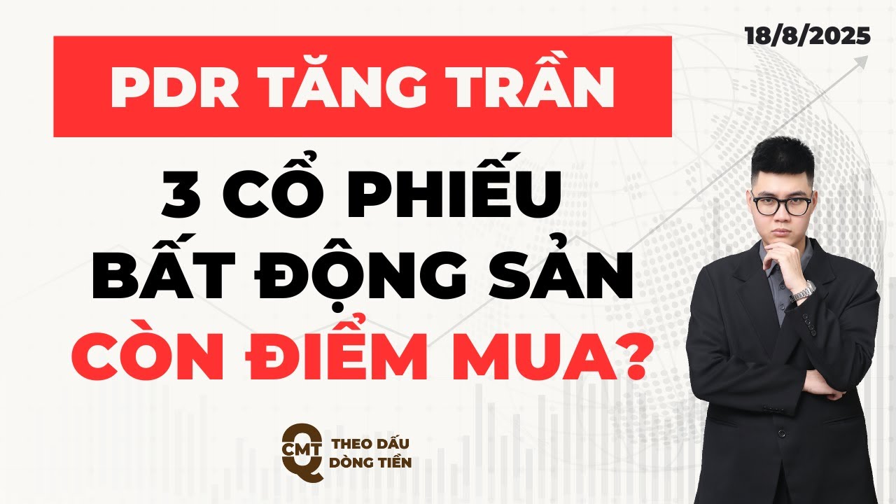 ✂️ PHÂN TÍCH CEO (ngày 19/8)