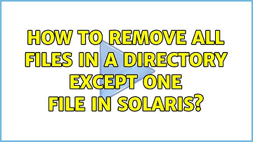 How to remove all files in a directory except one file in Solaris?