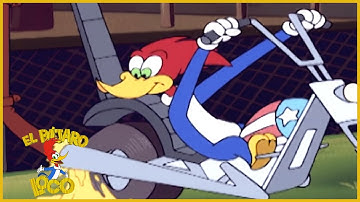 El Pájaro Loco en Español | 1 Hora de Compilación | Dibujos Animados en Español