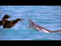 Scavengers of the Seas - Documentary