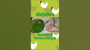 Làm món Gà hấp lá trúc đặc sản An Gian siêu ngon, vạn người mê bằng tủ hấp cơm công nghiệp