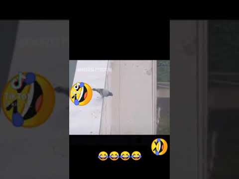 حوادث مضحكة