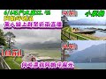 6/6萬人線上群聚祈雨直播！石門水庫下大雨！