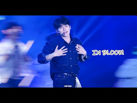 [4K FANCAM] 231021 BUSAN ONE ASIA FESTIVAL IN BLOOM SUNGHANBIN FOCUS / 부산원아시아페스티벌 인블룸 성한빈 직캠