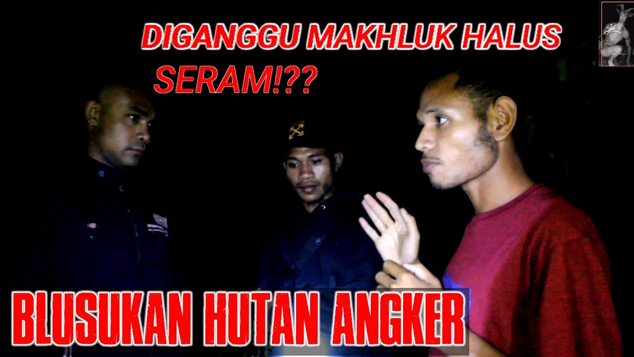 DIGANGGU MAKHLUK HALUS||SENSASI MASUK HUTAN ANGKER||MISTERI HUTAN FLORES||ENDE HOROR