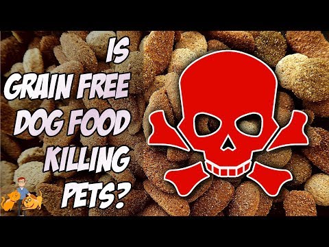 grain-free-dog-food:-does-it-cause-heart-failure?-(fda-warning)