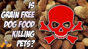 Grain Free Dog Food: does it cause heart failure? (FDA warning)