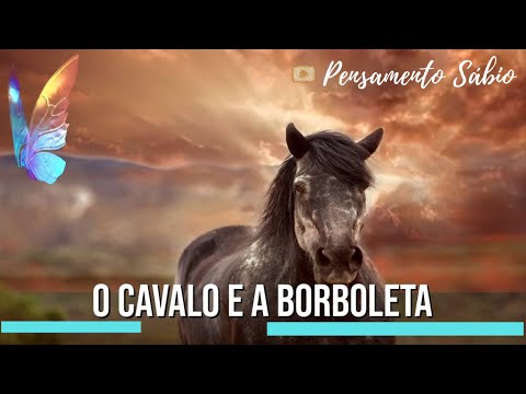 Vídeo: Citações famosas do cavalo