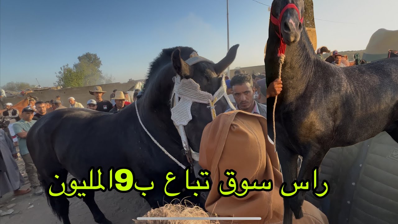 راس سوق عطاوه 7تباع ب9المليون 