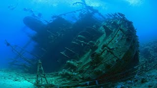 The Craziest Find On This 17th Century Sunken Ship Wasn’t the Gold Coin Or Antique Jewel…