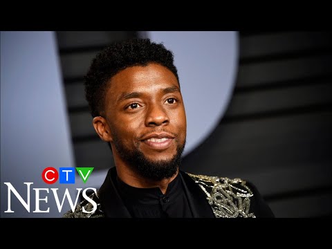 'Black Panther' star Chadwick Boseman dies at 43 after battle with cancer: 'It was really shocking'