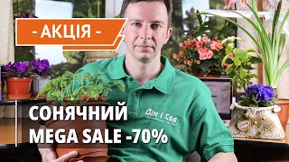 Сонячний Mega Sale - час літніх розпродажів! Знижки на рослини - до 70%