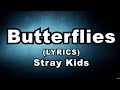 Stray Kids Butterflies Lyrics Video