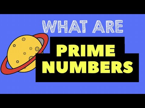 What is a Prime Number? | Carizmi Math