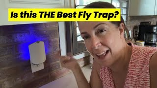 Does this fly trap really work?  Review of the Zevo Insect Trap #ad