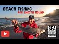 Sea fishing uk  beach fishing for sharks  travel to east devon