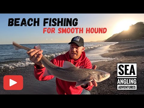 Sea Fishing Uk | Beach Fishing for Sharks | Travel to East Devon
