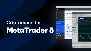 MetaTrader 5: Cómo operar criptomonedas en MT5 con BlackBull Markets