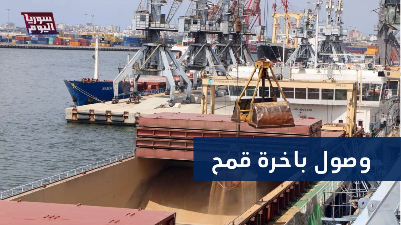 شحنة قمح كبيرة تصل إلى سوريا.. هل تسد النقص؟ | سوريا اليوم