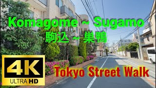 [4K HDR 60fps] Komagome~Sugamo / Inside Yamanote / Tokyo Street Walk