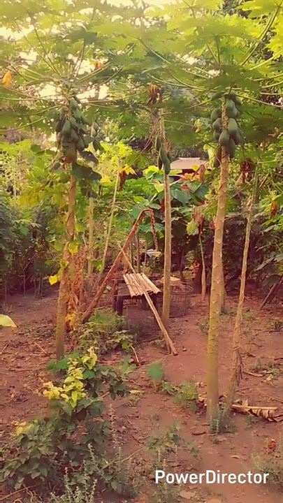 kata-kata bijak | kata-kata mutiara | ngaji filsafat