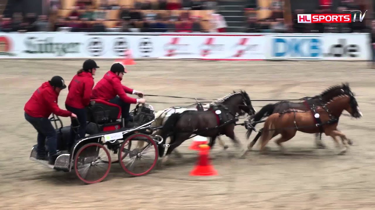 Pony Vierspänner Cup Schwerin 2016