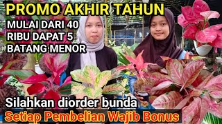 PROMO AKHIR TAHUN 40 RIBU 5 BATANG SETIAP PEMBELIAN WAJIB BONUS LARIS BANGET