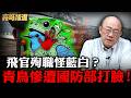 民進黨還吃人血饅頭？為抹黑不擇手段！政府被迫飛官飛老爺機？【亮話天下｜郭正亮 精選】@funseeTW @Guovision-TV