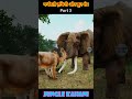 घमंडी हाथी और शेर | Sher Ki Kahani | Animals Stories | Hindi Stories | Kahani | #shorts