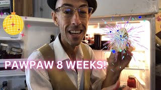 Paw Paw History Making w/ Michael Judd - 8 Weeks in Fridge!